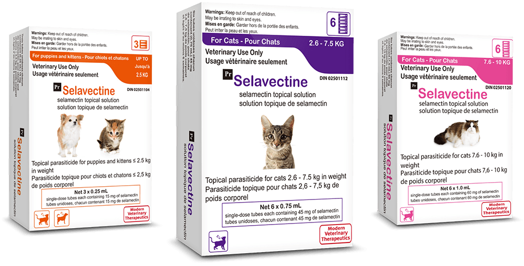 Cat Parasite Protection Products