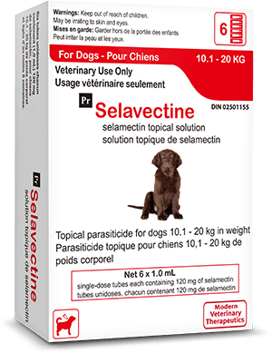 Dog 10kg Selavectine Parasite Protection