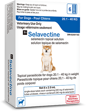 Dog 20kg Selavectine Parasite Protection