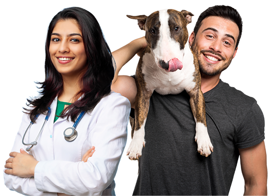 Veterinarian and pet owner
