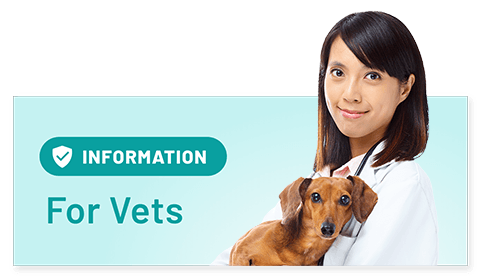 Information for vets button
